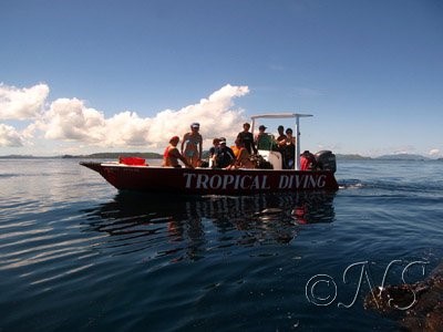 Ecovolontariat à Nosy&nbsp;Bé